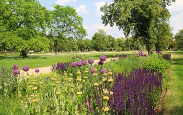 Goethepark © Tourist-Information Burg