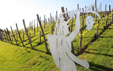 500 Jahre Burger Weintradition