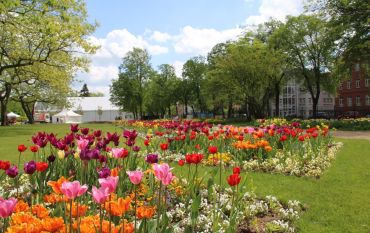 Blütenpracht und Bühne Goethepark